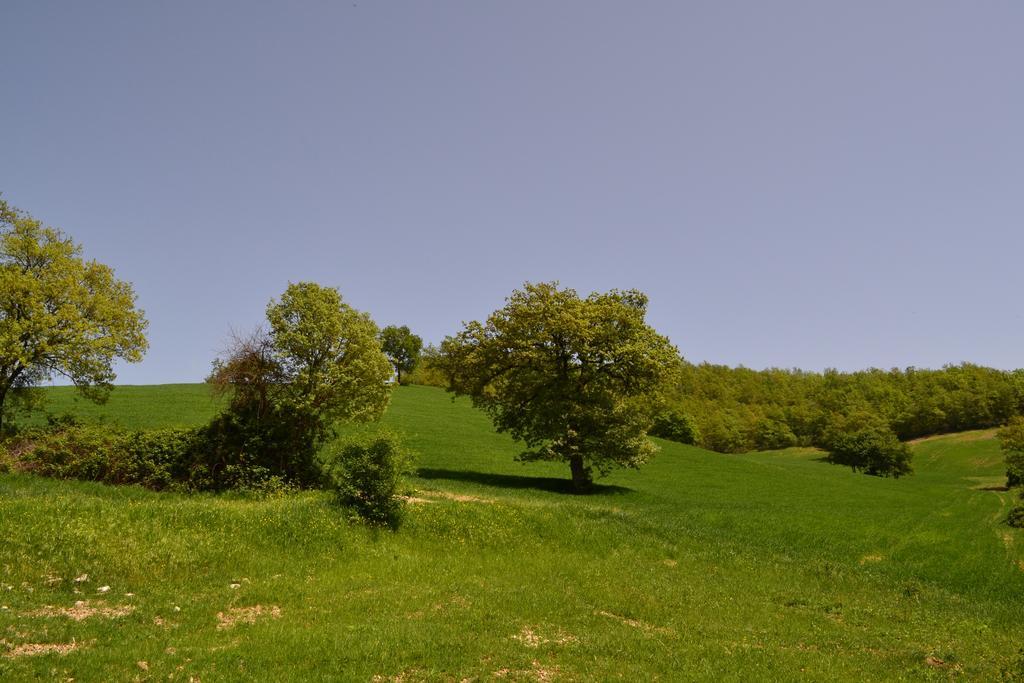 Agriturismo Marano Mengara المظهر الخارجي الصورة